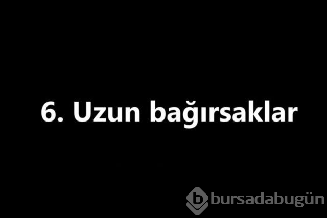 İnsan vücudunda şaşırtıcı 16 özellik!