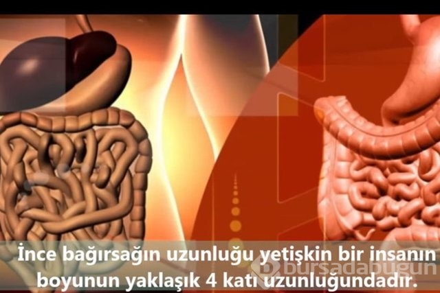 İnsan vücudunda şaşırtıcı 16 özellik!