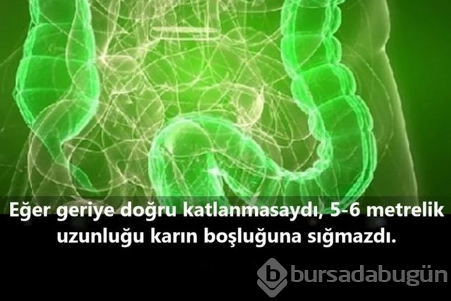 İnsan vücudunda şaşırtıcı 16 özellik!
