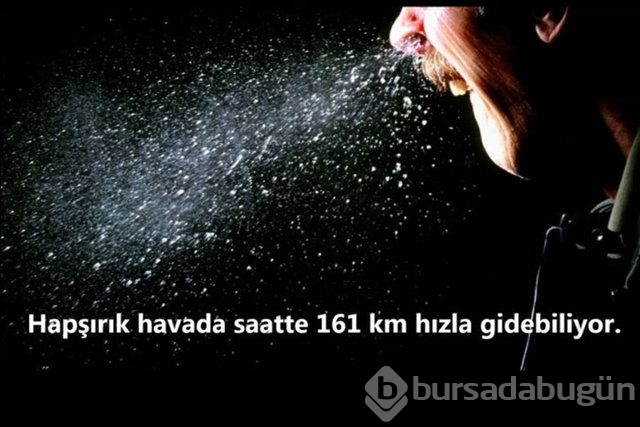 İnsan vücudunda şaşırtıcı 16 özellik!