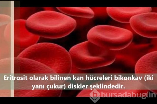 İnsan vücudunda şaşırtıcı 16 özellik!