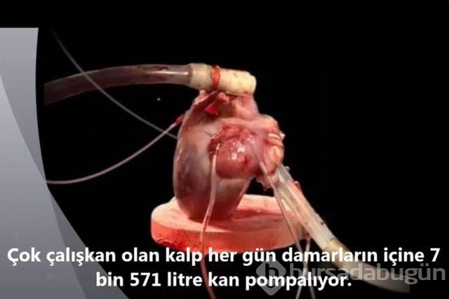 İnsan vücudunda şaşırtıcı 16 özellik!
