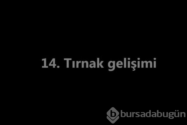 İnsan vücudunda şaşırtıcı 16 özellik!