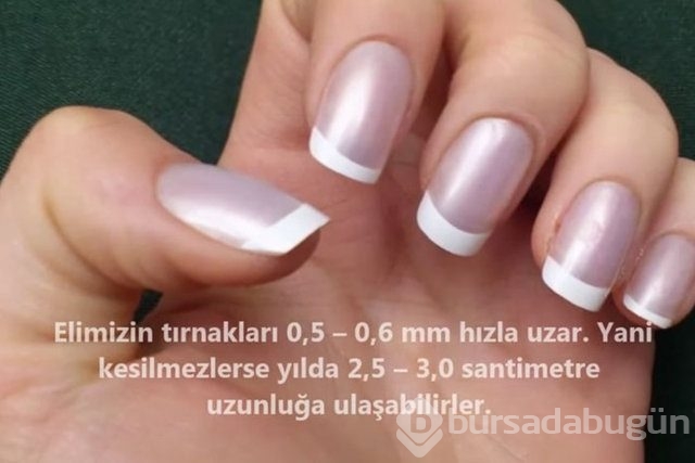 İnsan vücudunda şaşırtıcı 16 özellik!