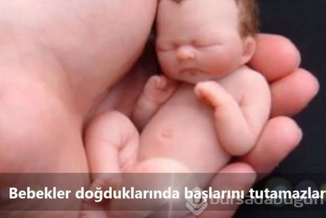 İnsan vücudunda şaşırtıcı 16 özellik!
