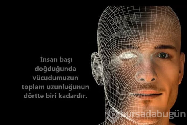 İnsan vücudunda şaşırtıcı 16 özellik!