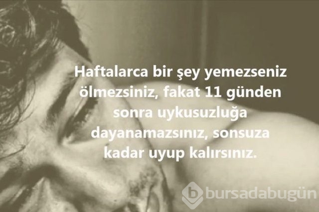İnsan vücudunda şaşırtıcı 16 özellik!