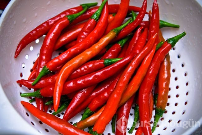 Evinizdeki doğal antibiyotikler