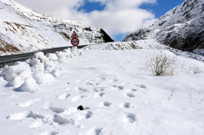 Van'da kar yağışı sonucu karayolu ulaşıma kapandı