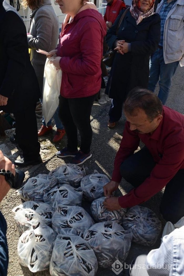 Kilogramı bir liraya satılan 10 ton hamsi, 2 saatte tükendi