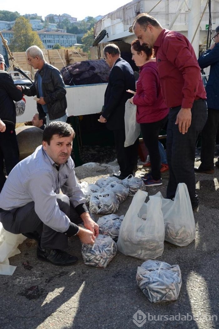 Kilogramı bir liraya satılan 10 ton hamsi, 2 saatte tükendi