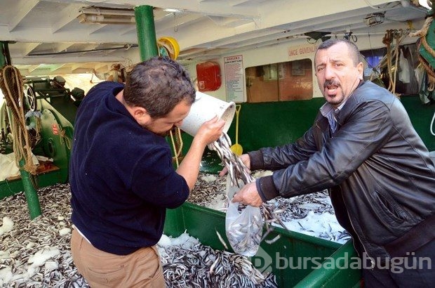 Kilogramı bir liraya satılan 10 ton hamsi, 2 saatte tükendi