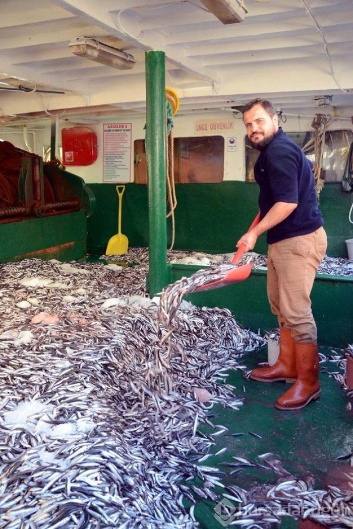 Kilogramı bir liraya satılan 10 ton hamsi, 2 saatte tükendi