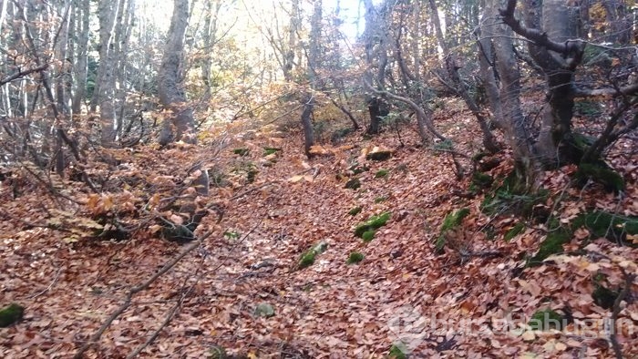 Uludağ'da sonbahar