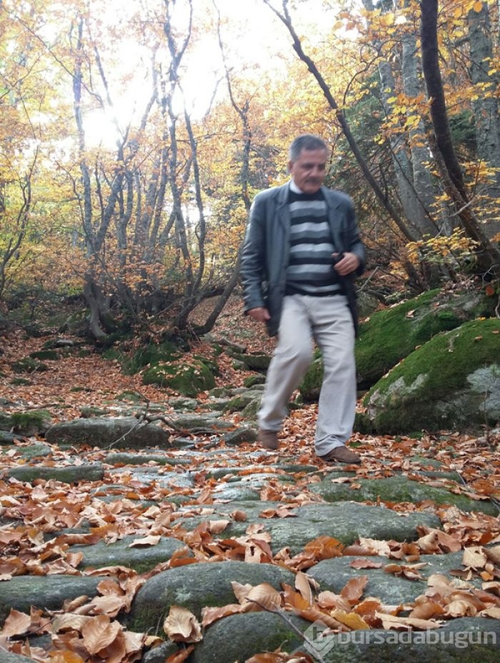 Uludağ'da sonbahar