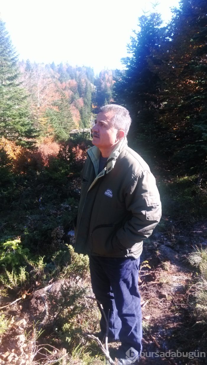 Uludağ'da sonbahar