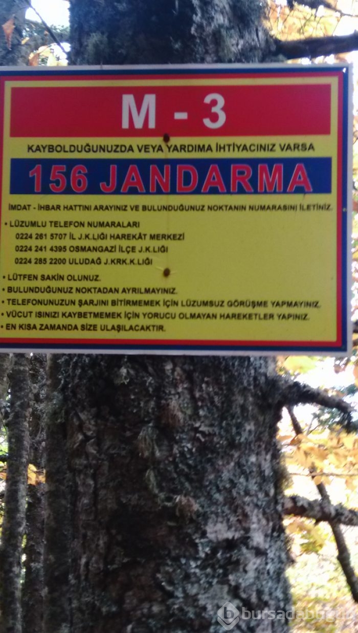 Uludağ'da sonbahar