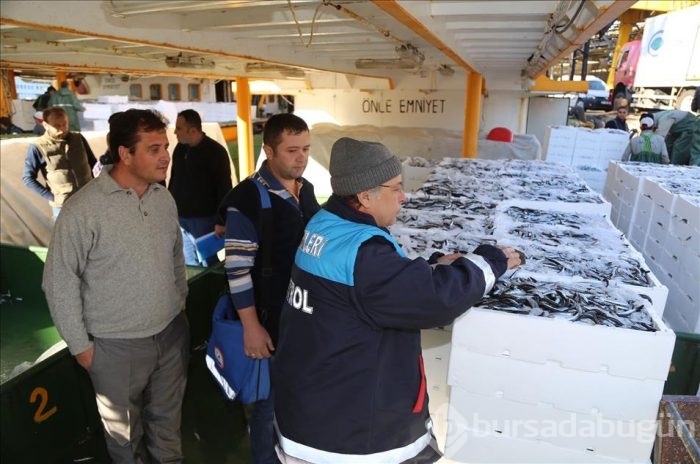Sular soğudu hamsi geri döndü