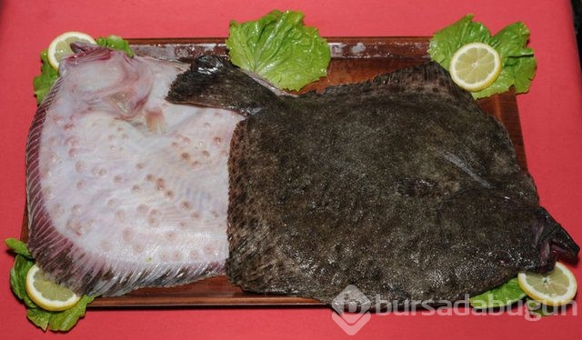 Hangi yiyecek kaç kalori?