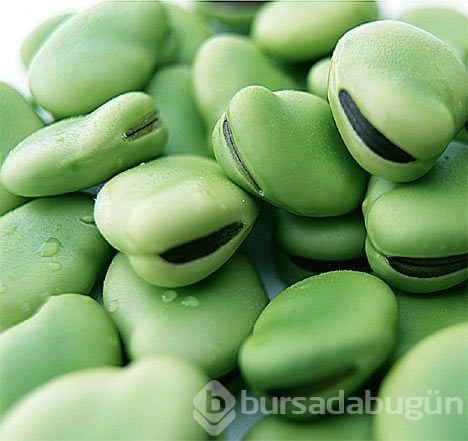 Hangi yiyecek kaç kalori?