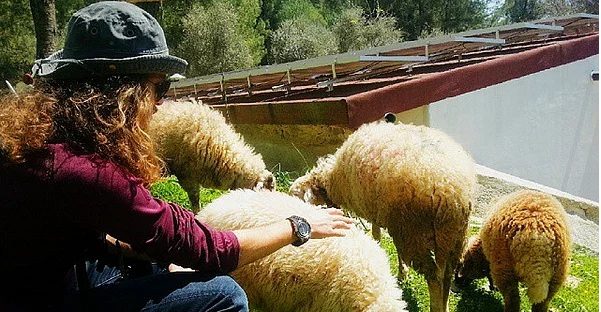 10 Bin insanla çay içmek için yola çıktı!