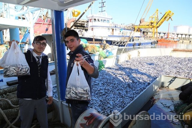 Karadeniz'de hamsi bereketi