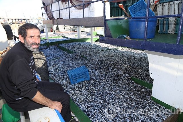 Karadeniz'de hamsi bereketi