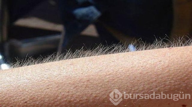 İnanılmaz ama gerçek: eskiden vardılar!