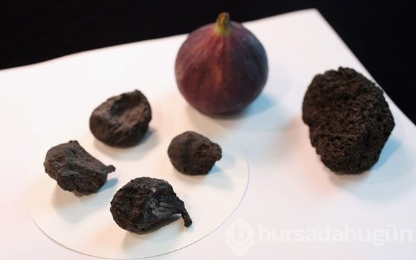 Taş kesilen şehir Pompei