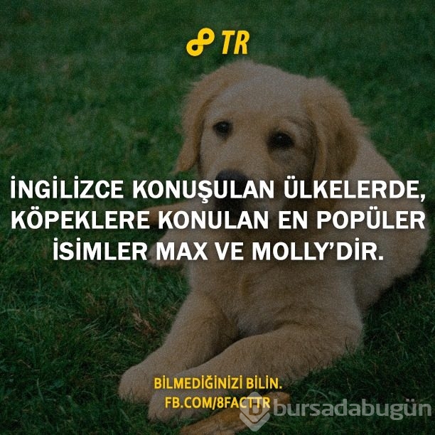 Az bilinen gerçekler
