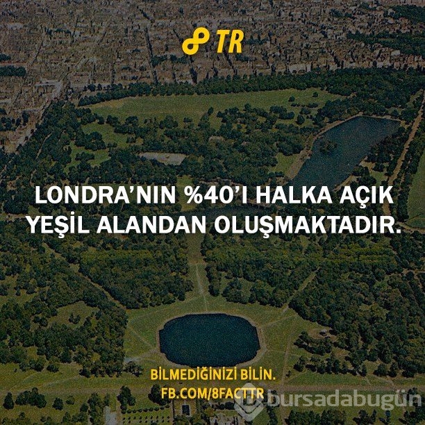 Az bilinen gerçekler

