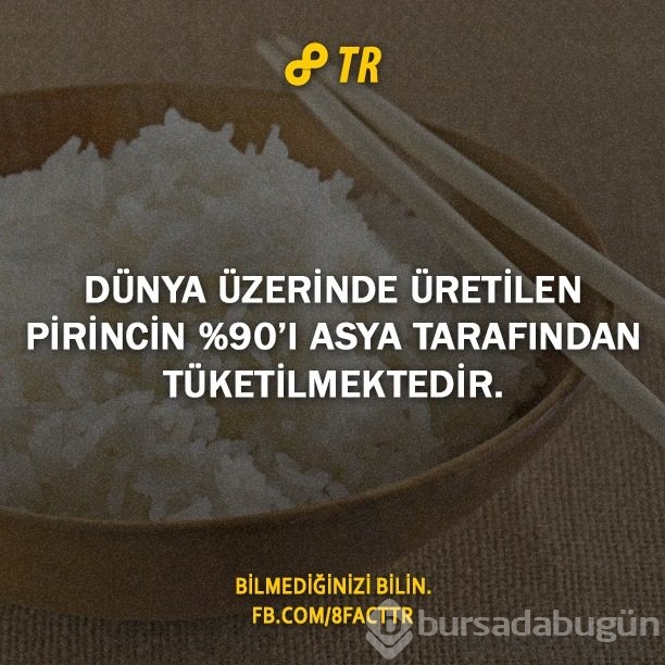 Az bilinen gerçekler
