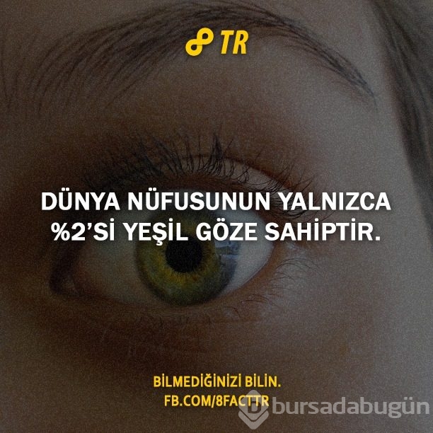 Az bilinen gerçekler
