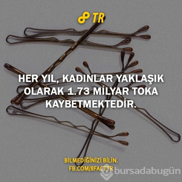 Az bilinen gerçekler
