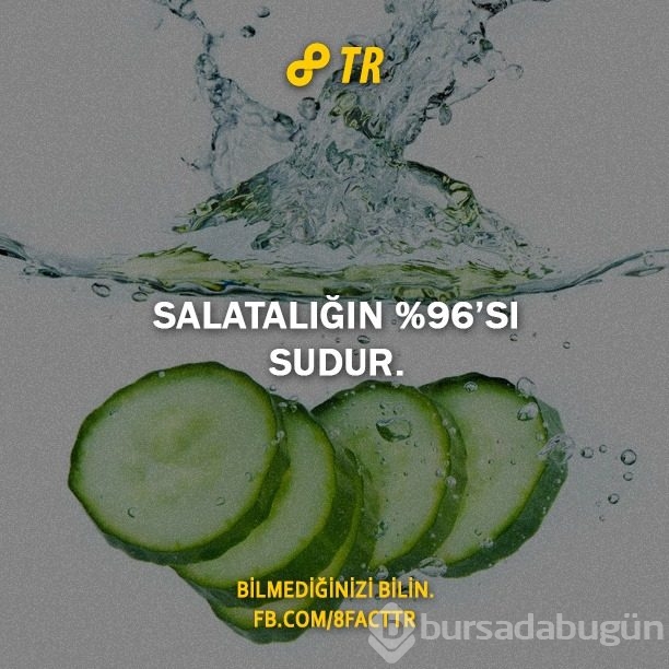 Az bilinen gerçekler
