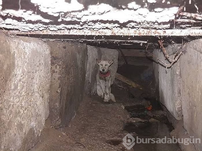 Bakın nasıl değiştiler