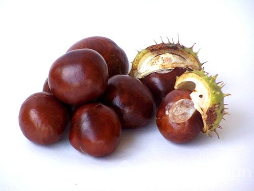 Kışın vazgeçilmezi kestane