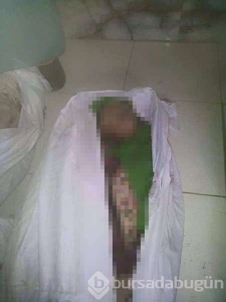 IŞİD'e bağlı gruplar 7 kişiyi infaz etti
