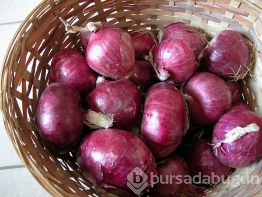 Soğanı sütle karıştırınca bakın ne oluyor?