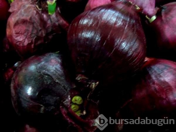 Soğanı sütle karıştırınca bakın ne oluyor?