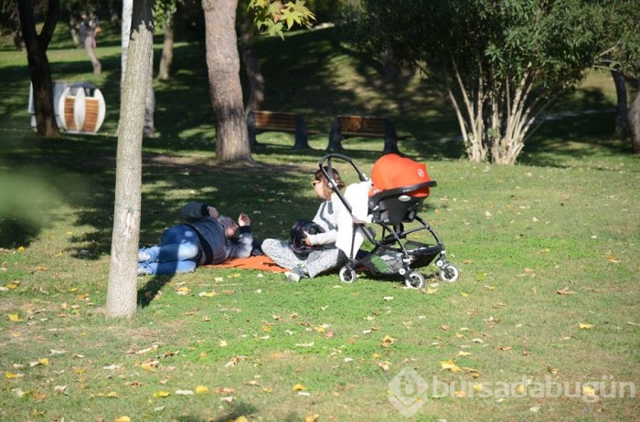 Ünlü oyuncu parkta uyudu