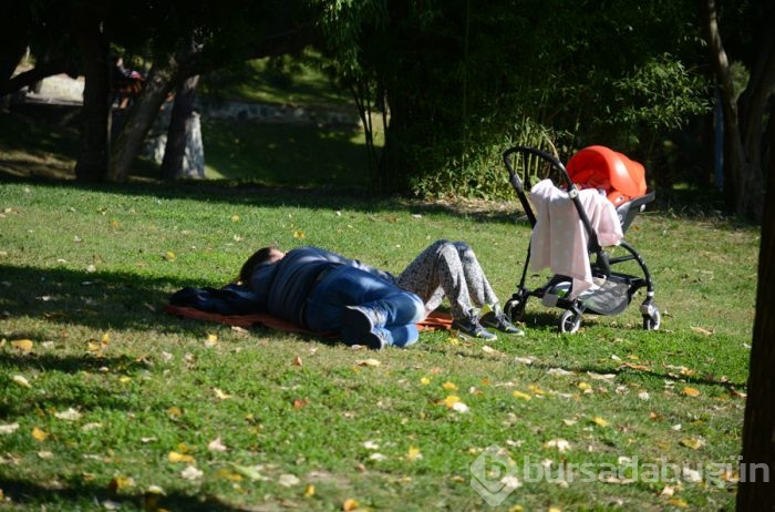 Ünlü oyuncu parkta uyudu