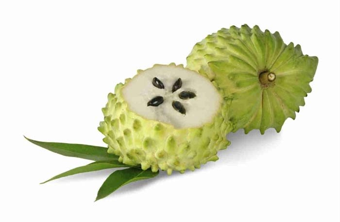 Guanabana meyvesi kanser hastalarına umut oldu