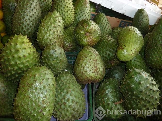 Guanabana meyvesi kanser hastalarına umut oldu