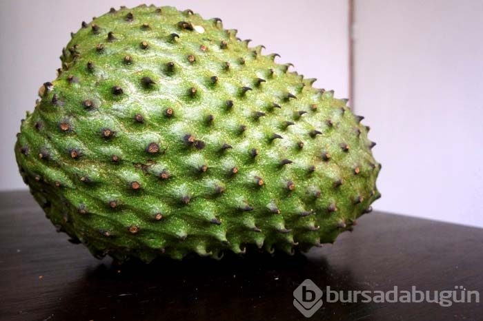 Guanabana meyvesi kanser hastalarına umut oldu