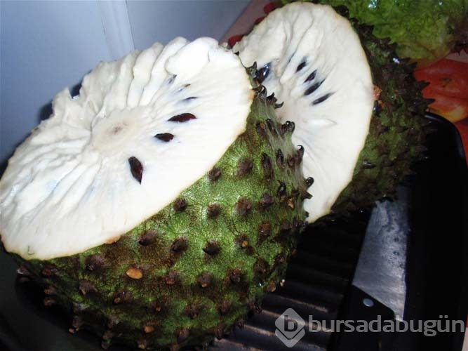 Guanabana meyvesi kanser hastalarına umut oldu