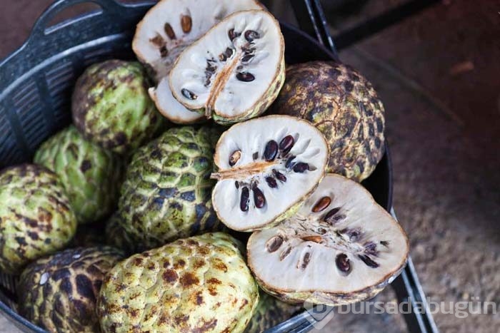 Guanabana meyvesi kanser hastalarına umut oldu