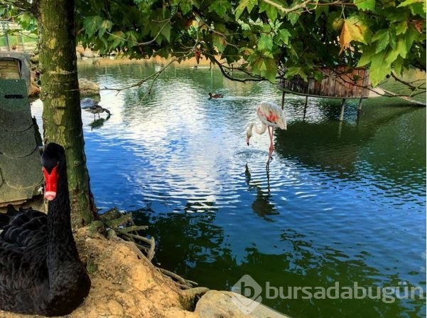 İnstagram'da Ünlüler - 09 Kasım 2015