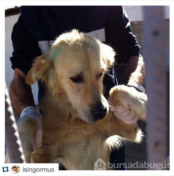 İnstagram'da Ünlüler - 09 Kasım 2015