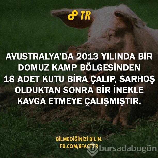 Az bilinen gerçekler